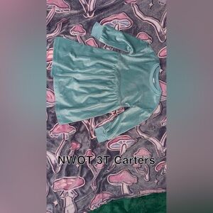 Carter's Aqua Long Sleeve Dress